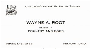 roots